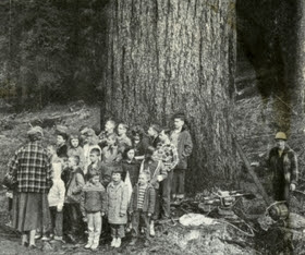 Free Workshop on Researching Historic Trees on January 30th